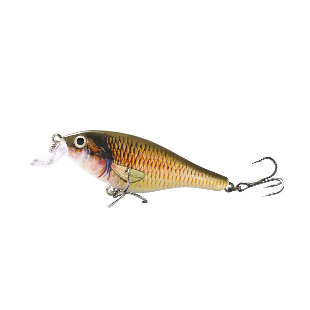 Fishing Baits & Lures