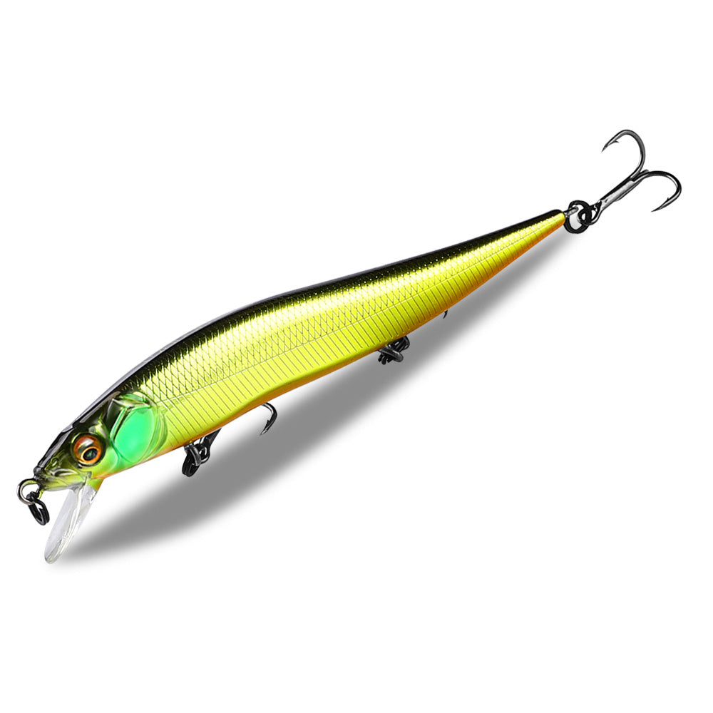 Fishing Baits & Lures 