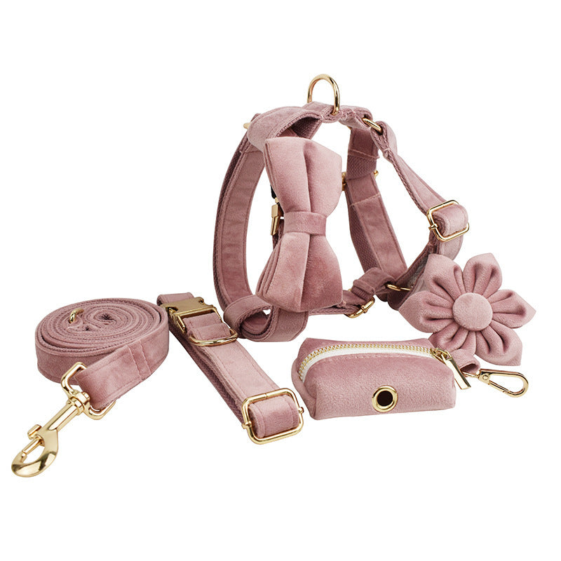 Pet Collars & Harnesses