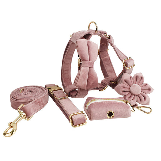 Pet Collars & Harnesses