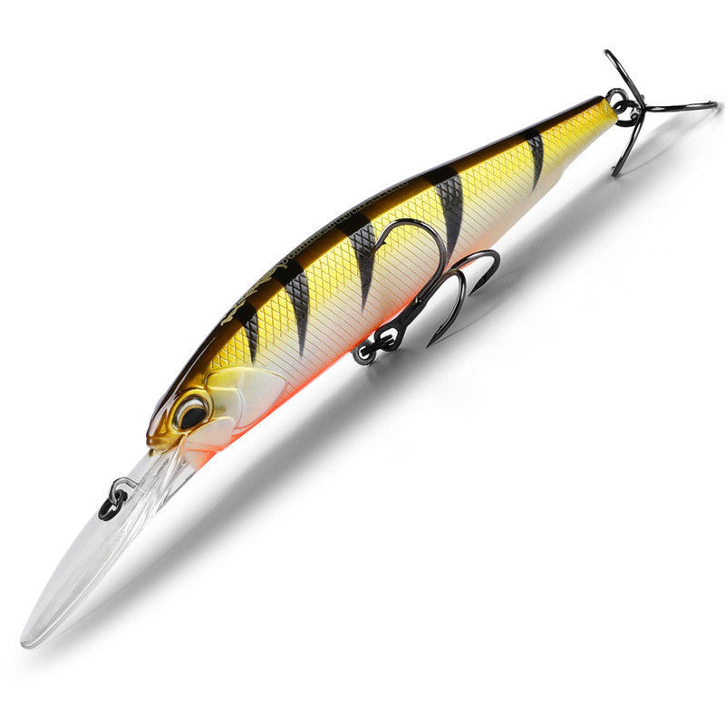 Fishing Baits & Lures