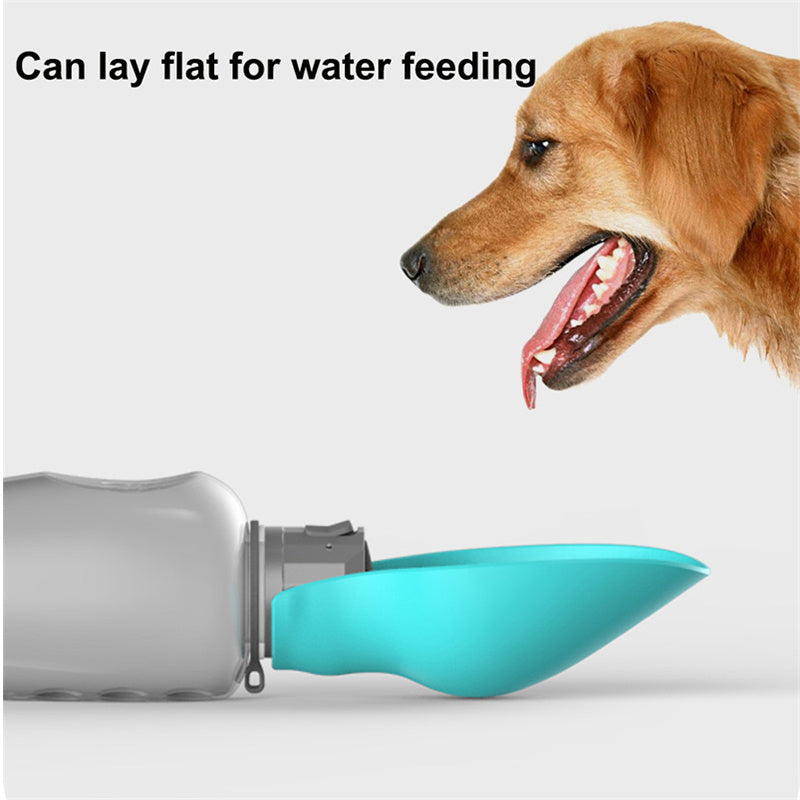 Pet Bowls, Feeders & Waterers