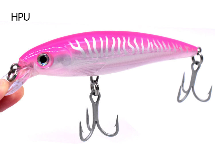 Fishing Baits & Lures