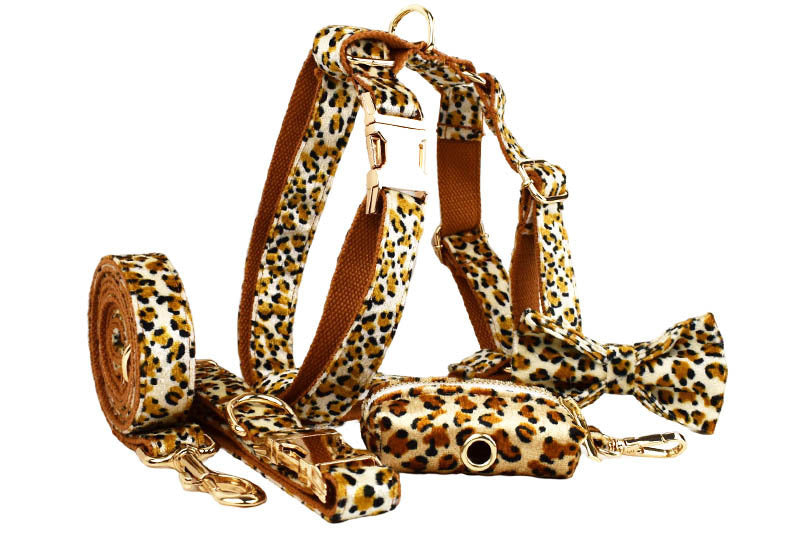 Dog Leash Pet Leopard Print Collar