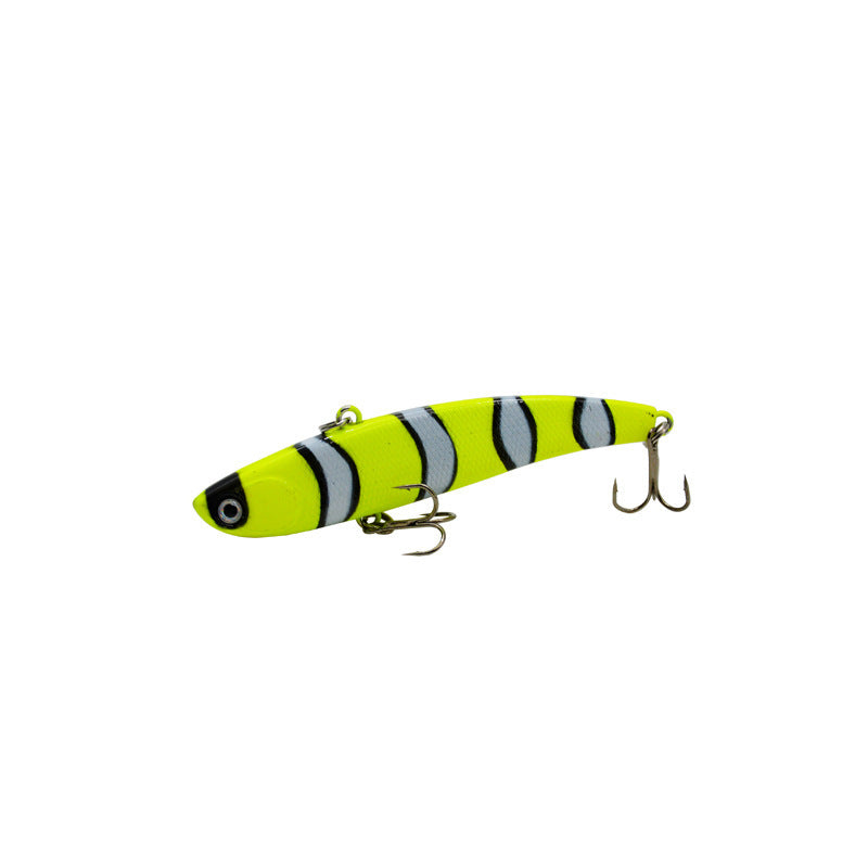 Fishing Baits & Lures 