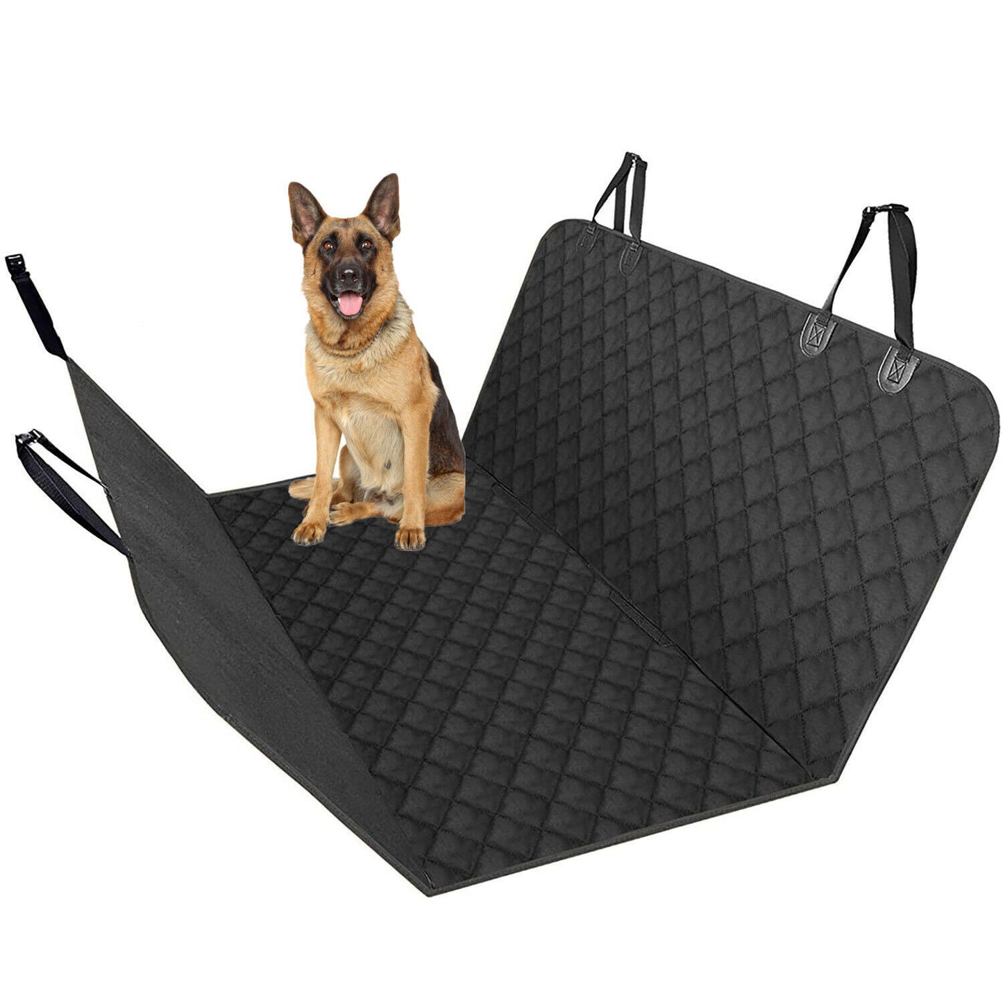 Pet Carrier & Crate Accessories