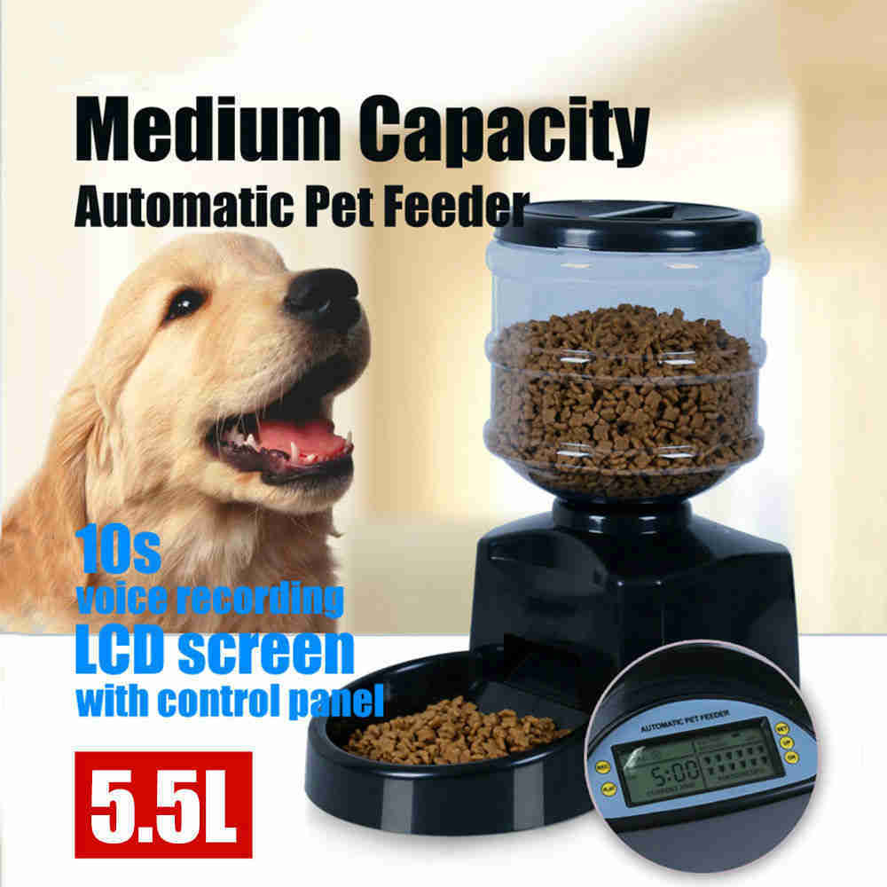 Timing Intelligent Automatic Feeder