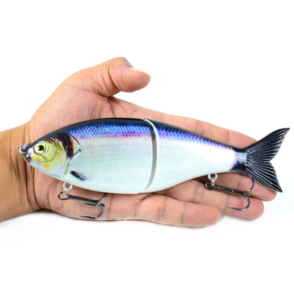 Fishing Baits & Lures