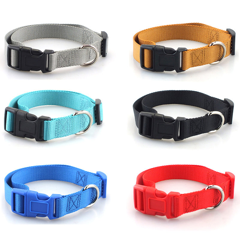 Pet Collars & Harnesses