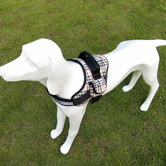 Pet Collars & Harnesses