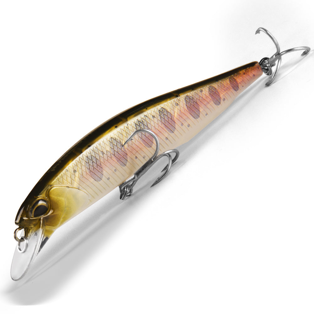 Fishing Baits & Lures 