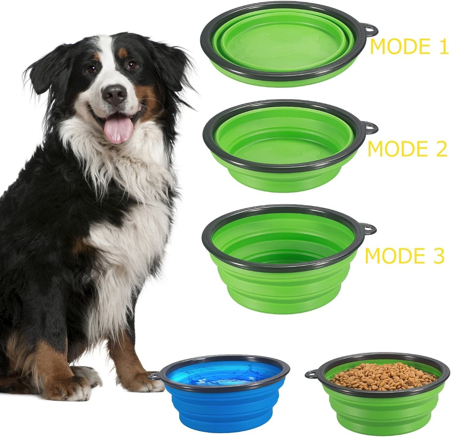 Dog Bowls