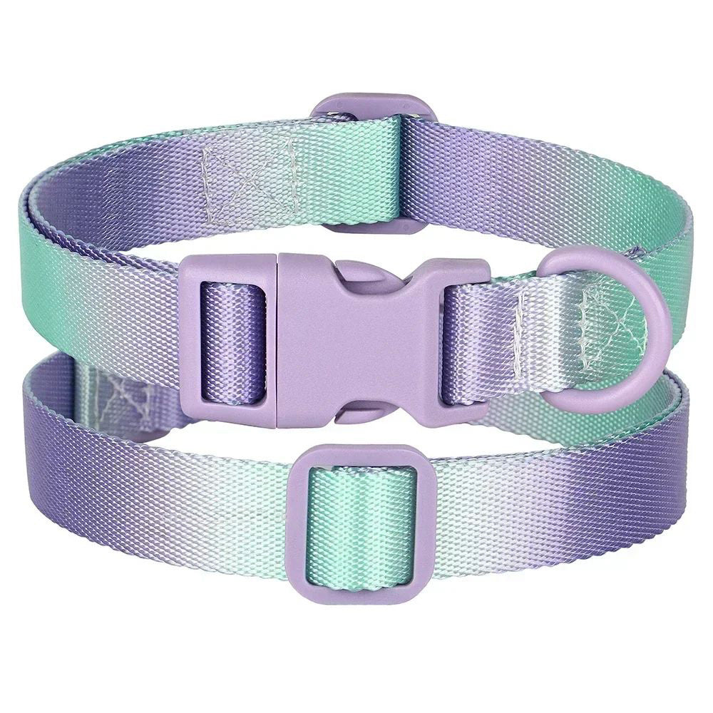 Collier en nylon réglable pour chien et chat, petit collier pour chien, dégradé, accessoire tendance pour petits, moyens et grands chiens