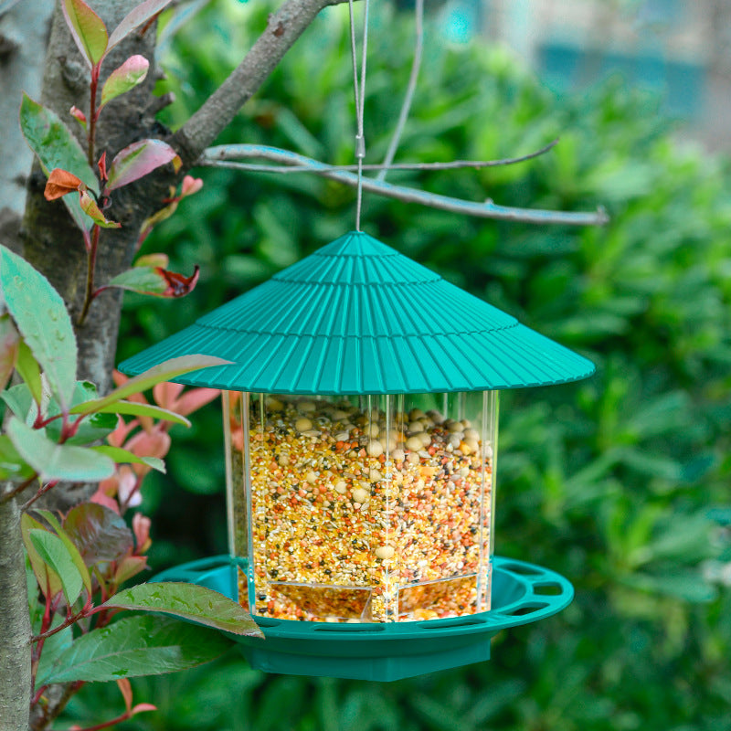 Bird Feeders