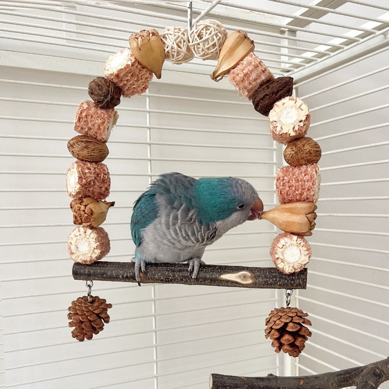 Bird Gyms & Playstands