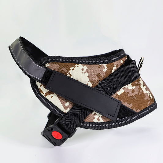 Pet Collars & Harnesses