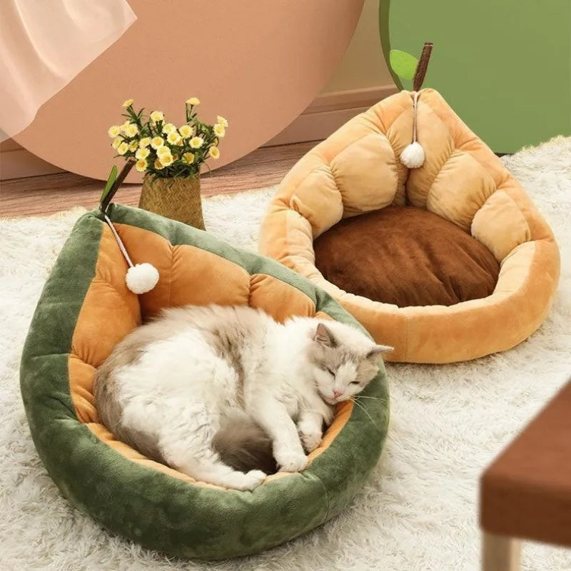 Cute Cat Kitten House