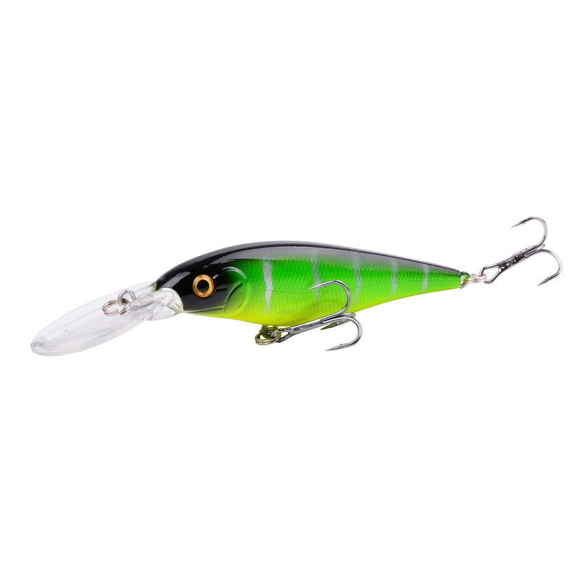 Fishing Baits & Lures