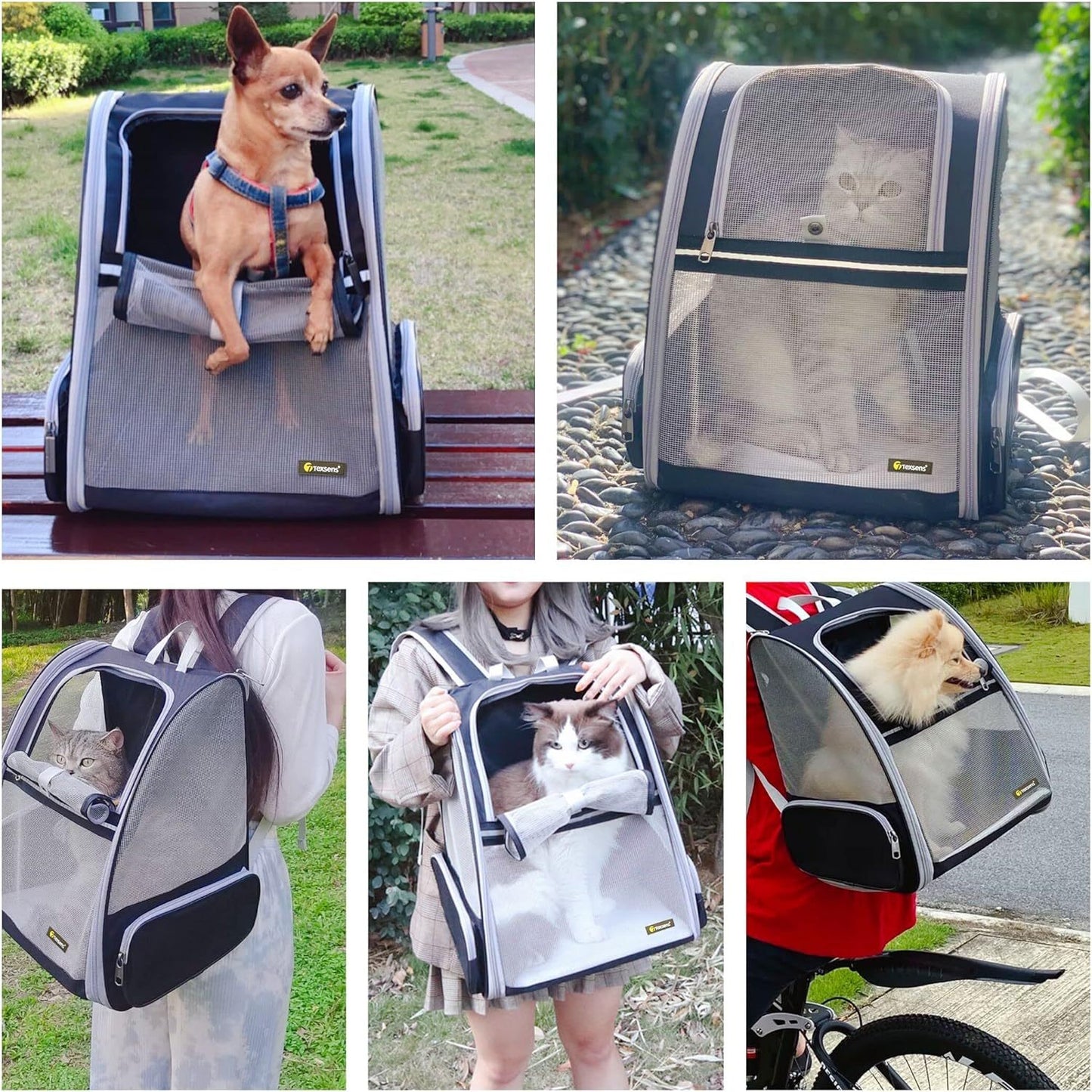 Backpack Pet Carriers