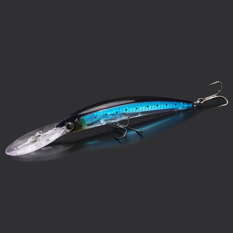 Fishing Baits & Lures