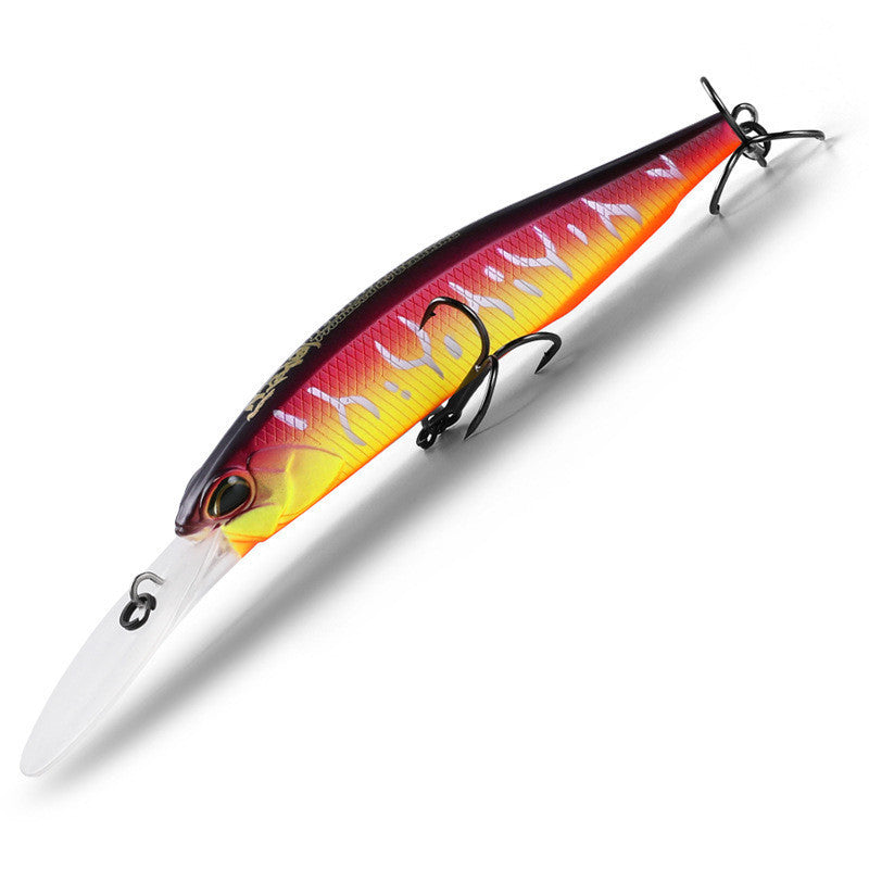 Fishing Baits & Lures