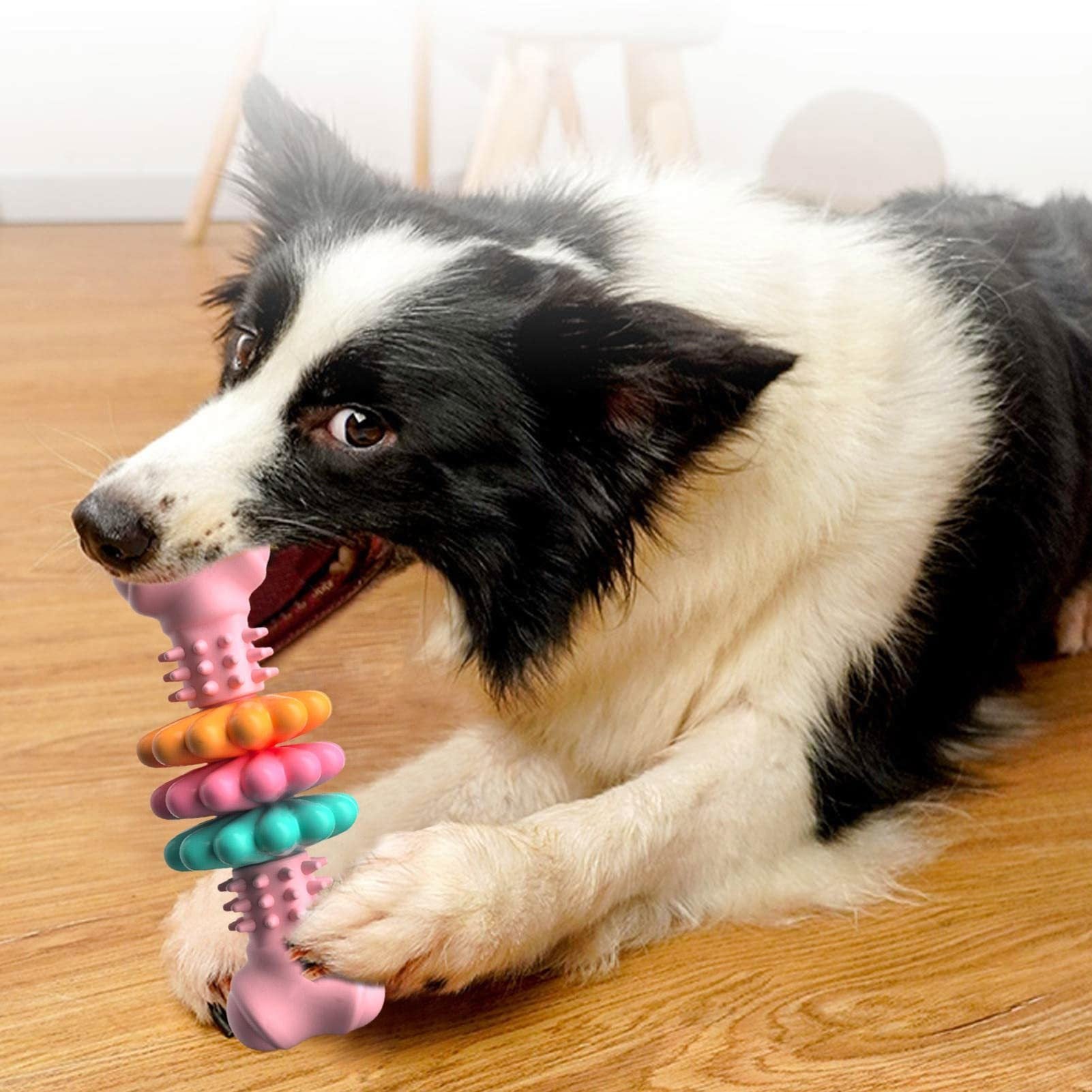 Dog Chew Toy Dog Teeth Cleaning