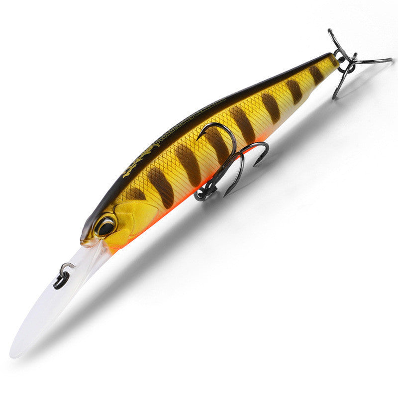 Fishing Baits & Lures