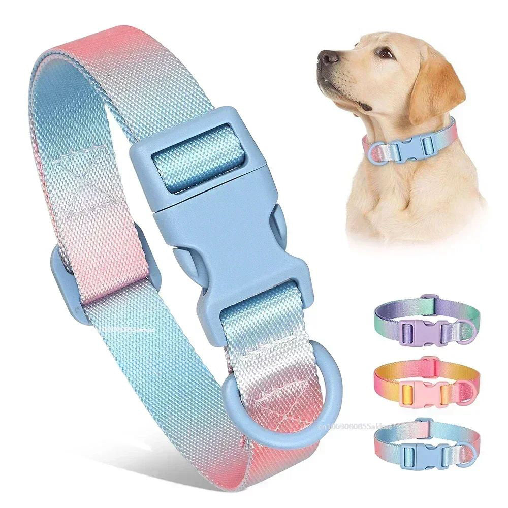 Pet Collars & Harnesses