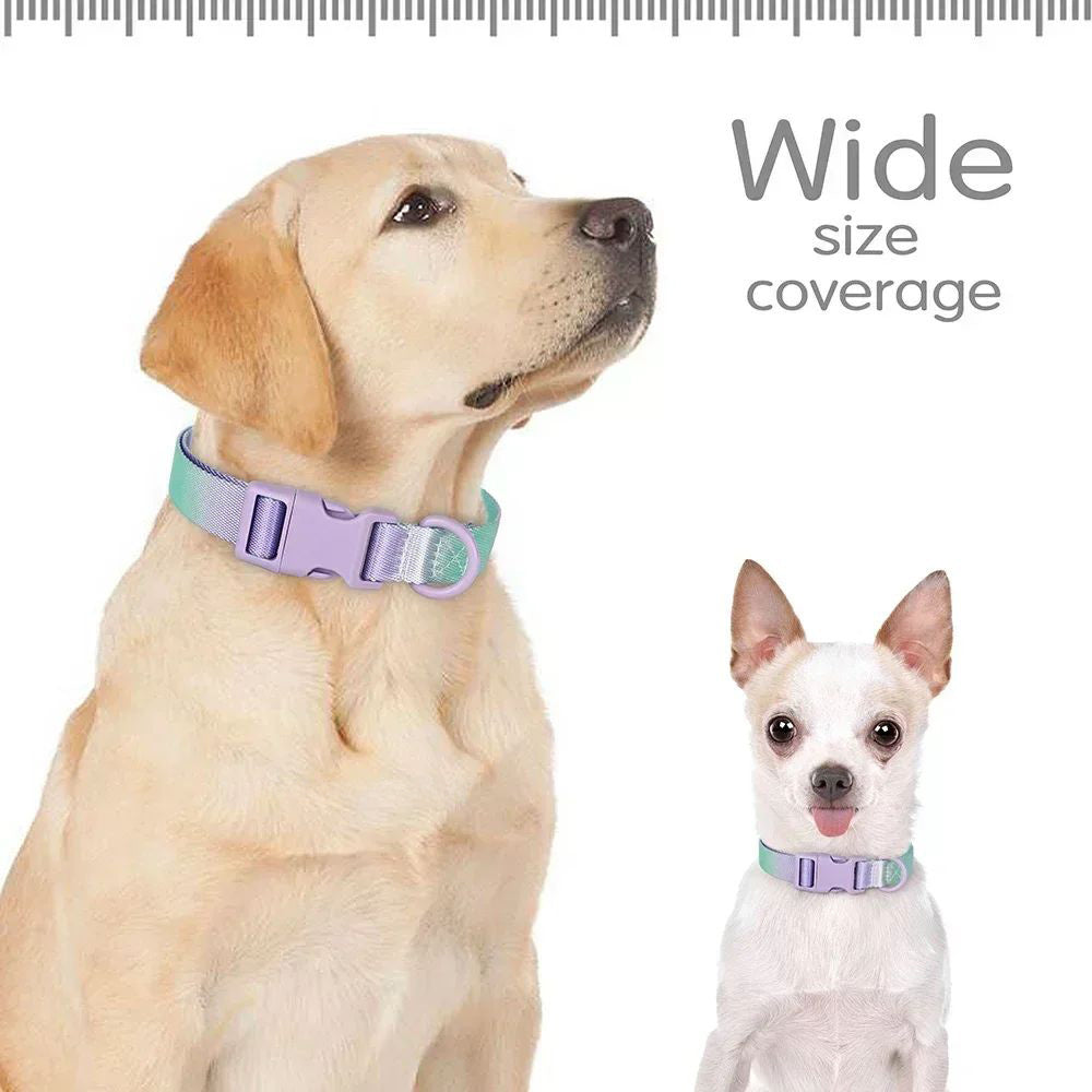 Collier en nylon réglable pour chien et chat, petit collier pour chien, dégradé, accessoire tendance pour petits, moyens et grands chiens