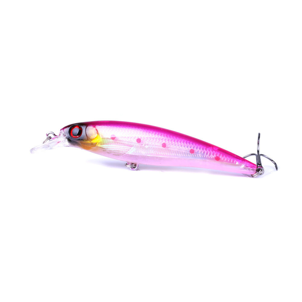 Fishing Baits & Lures