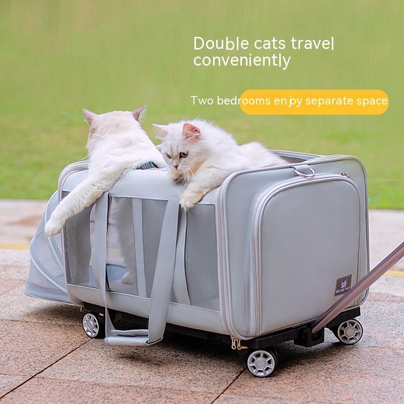 Pet Carriers & Crates