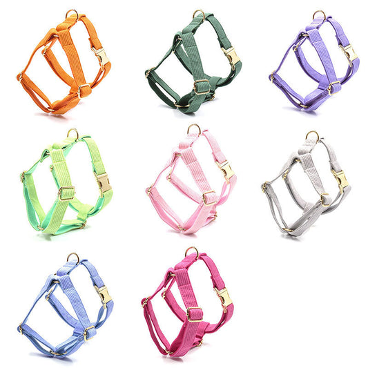 Pet Collars & Harnesses