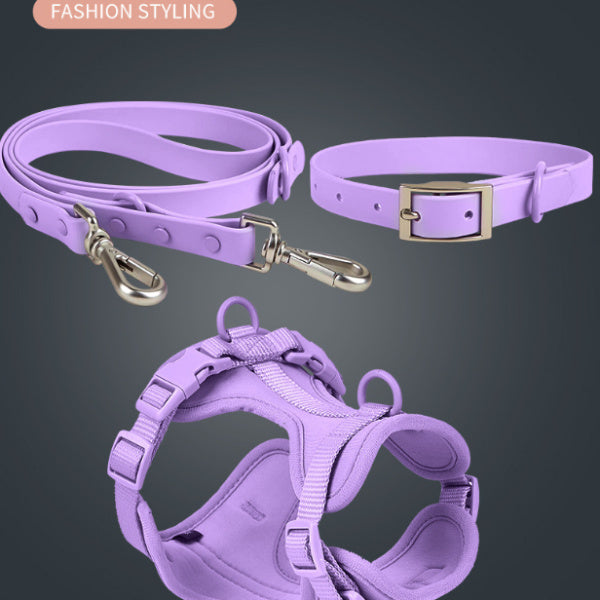 Pet Collars & Harnesses