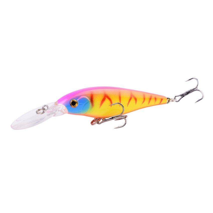 Fishing Baits & Lures