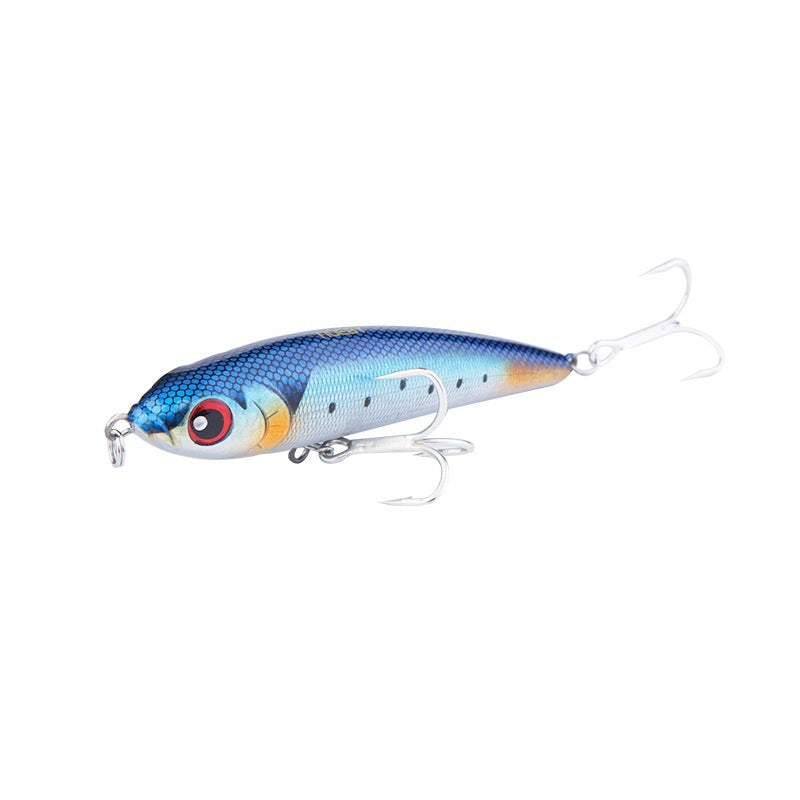 Fishing Baits & Lures