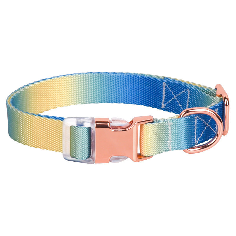 Collier en nylon réglable pour chien et chat, petit collier pour chien, dégradé, accessoire tendance pour petits, moyens et grands chiens