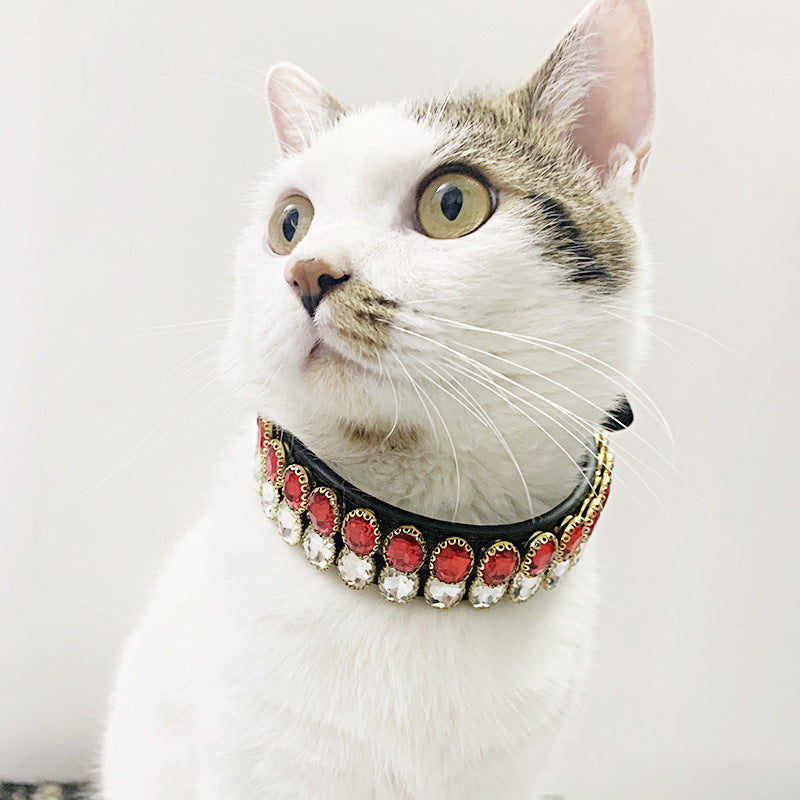 Pet Collars & Ties