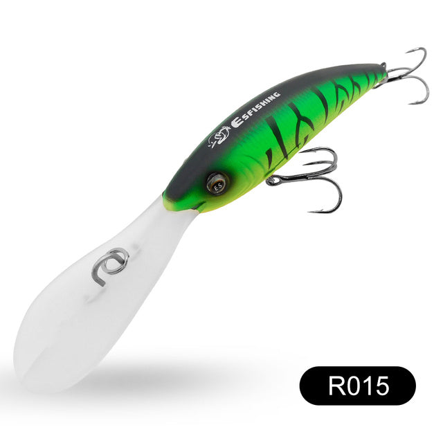 Fishing Baits & Lures 