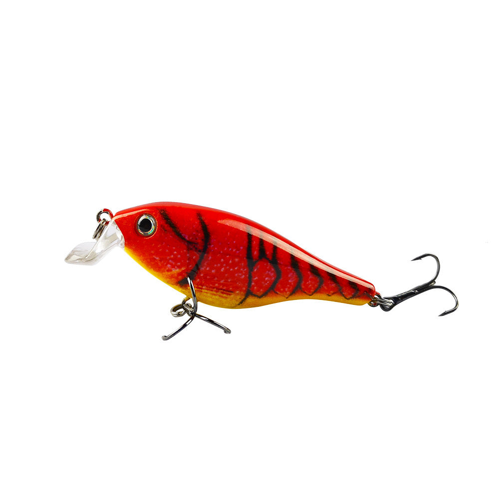 Fishing Baits & Lures