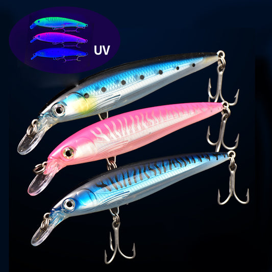 Fishing Baits & Lures