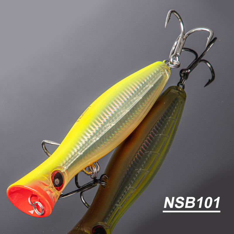 Fishing Baits & Lures 