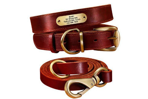 Personalized Dog Collars