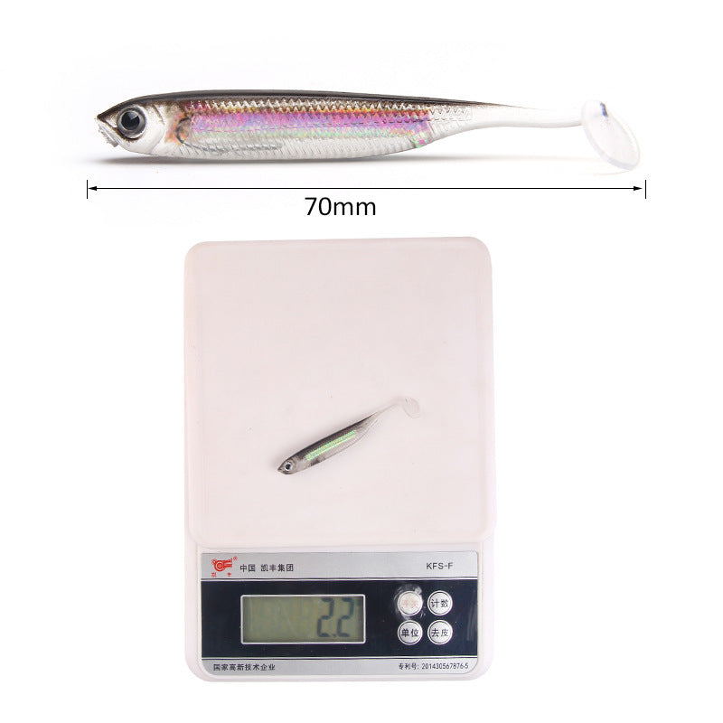 Fishing Baits & Lures