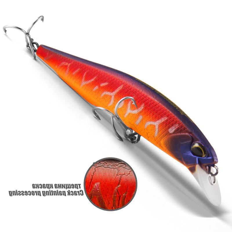 Fishing Baits & Lures