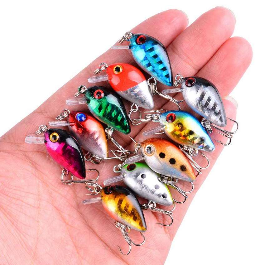 Fishing Baits & Lures