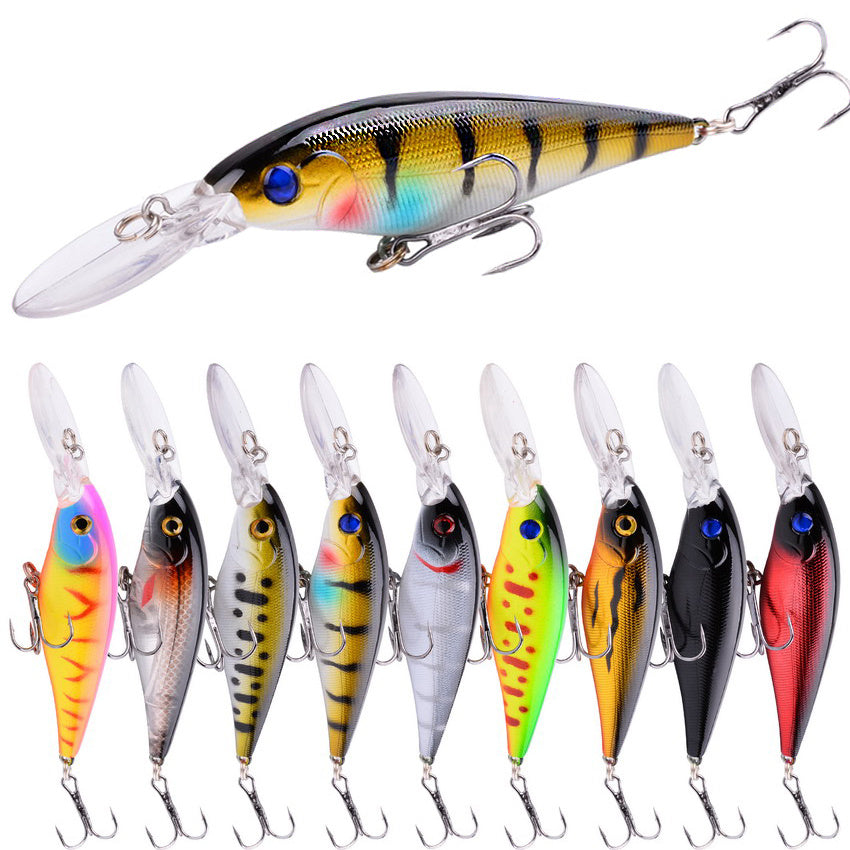 Fishing Baits & Lures