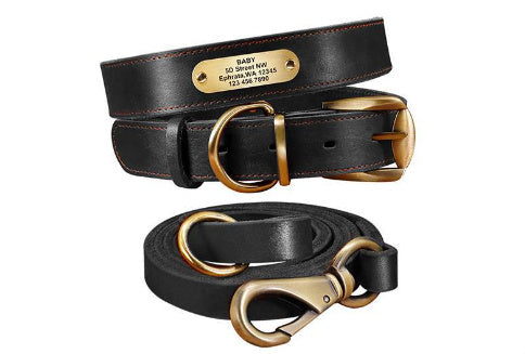 Personalized Dog Collars