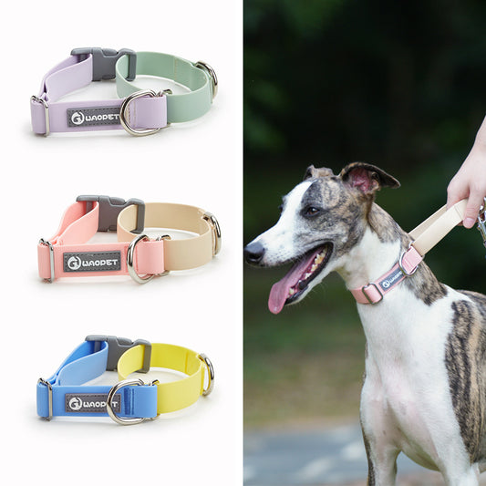 Pet Collars & Harnesses