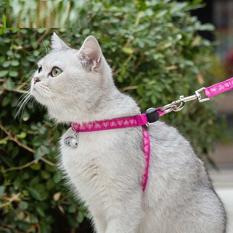 Pet Cat Bell Chest Strap