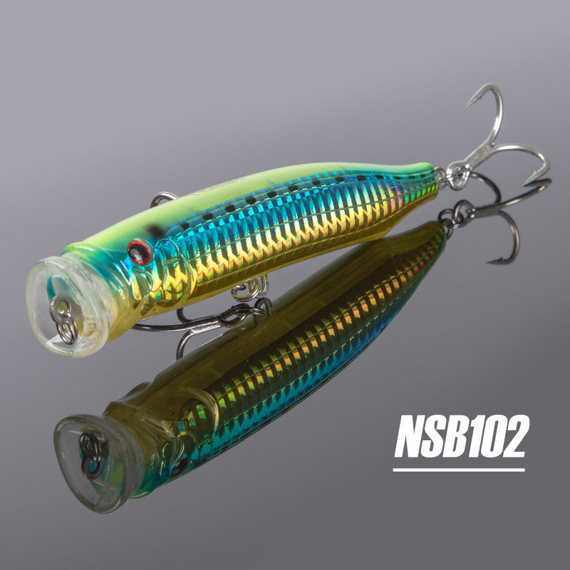 Fishing Baits & Lures